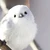 しろ