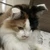 きづき