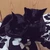 アツミ