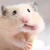 あまの