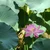 Gloomy_Weasel