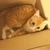 じゅーぞー