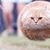 うに