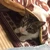 ゆきんこ