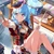 さら