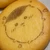rain_the_frog