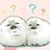 かなこりあん