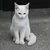 さほちゃ