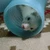 ゆう