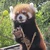 デコたろう