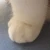 おじぎ