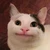 くちぱっちん
