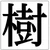 樹文緒