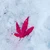 山田
