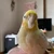 チャンサトモ