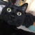ルネサンス