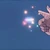 もちもちの木