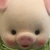 うんぽ