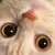momomokachan