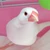 hapiko