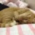 めぐふか