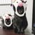 黒猫