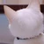 ねこたまご