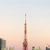 さつまいもこ