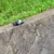userOrV68Uom1FP
