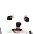 くいるりら