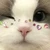 ル