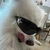 TAICHI