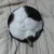 ぽおたか