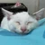 チカ