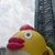 すーさん