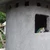 Burung