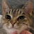 なぎ
