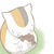 たくみ
