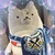 よしよし