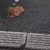 もりどん