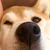 やちゅお