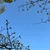 springmoon43