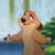 Timon