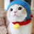 けんけん