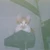 くるるやわ