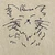 きっと猫