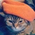 猫文学