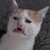 生き
