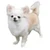 heychiwawa3
