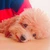 まみお